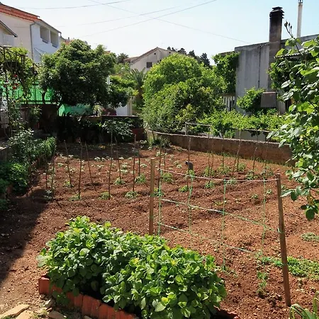 Jelsa 196e * ييلسا